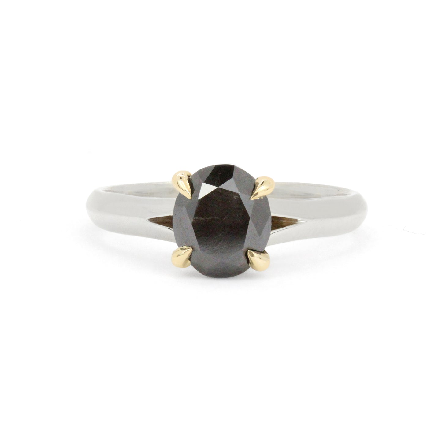 The Bay Fog Ring