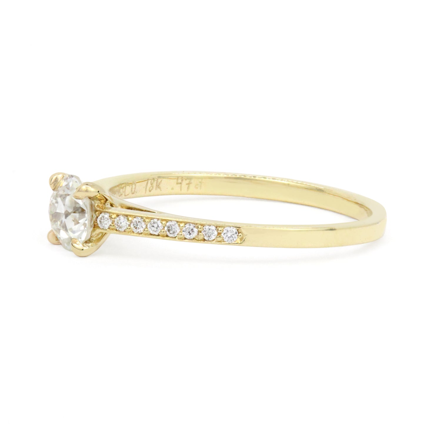 The Bodega Bae Ring