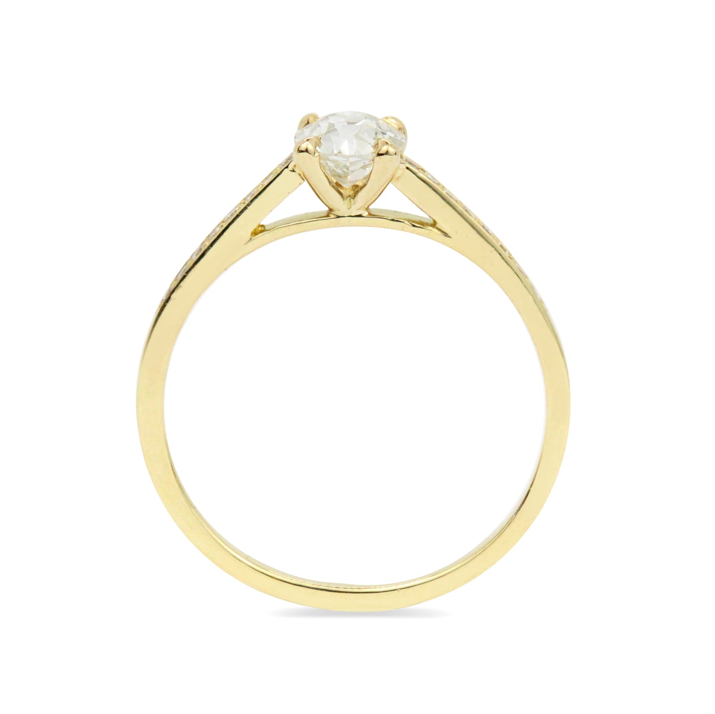 The Bodega Bae Ring