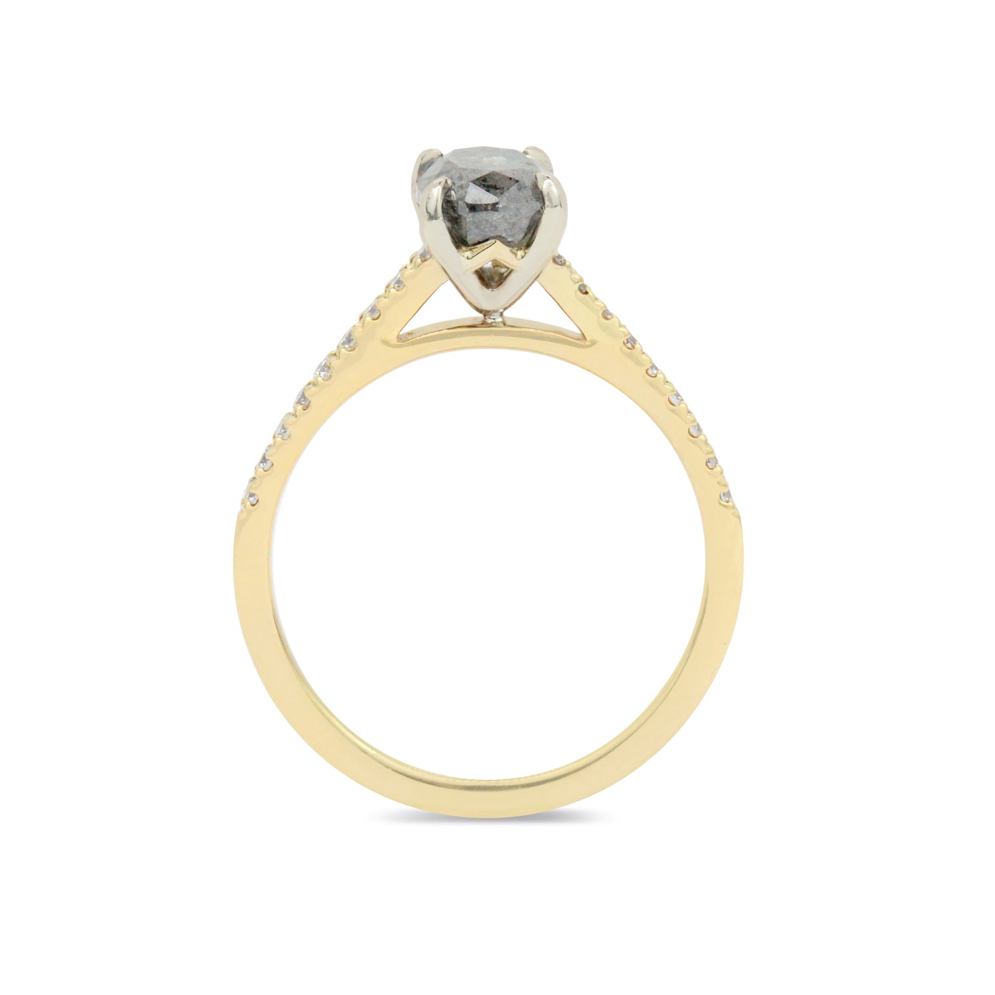 The Castro Ring