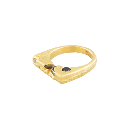 Cosmos Gold Ring #2
