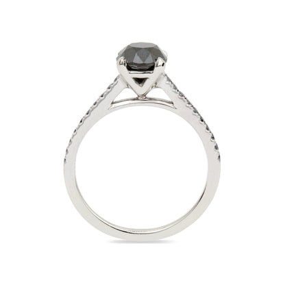 The Nob Hill Ring