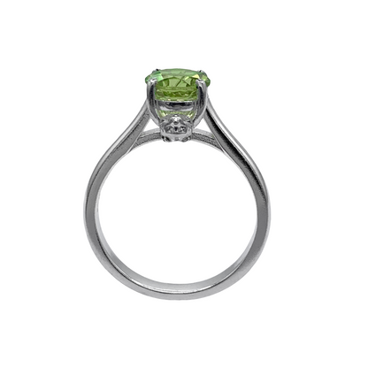 The Cat Ring