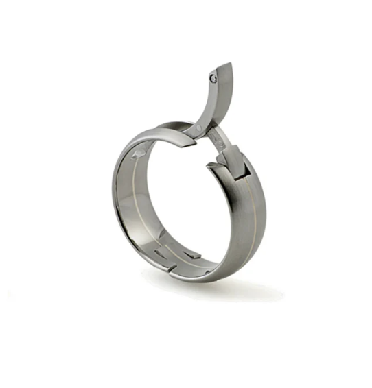 Titanium and 18K Yellow Gold Stripe Band