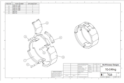 Titanium Dodecagon Band