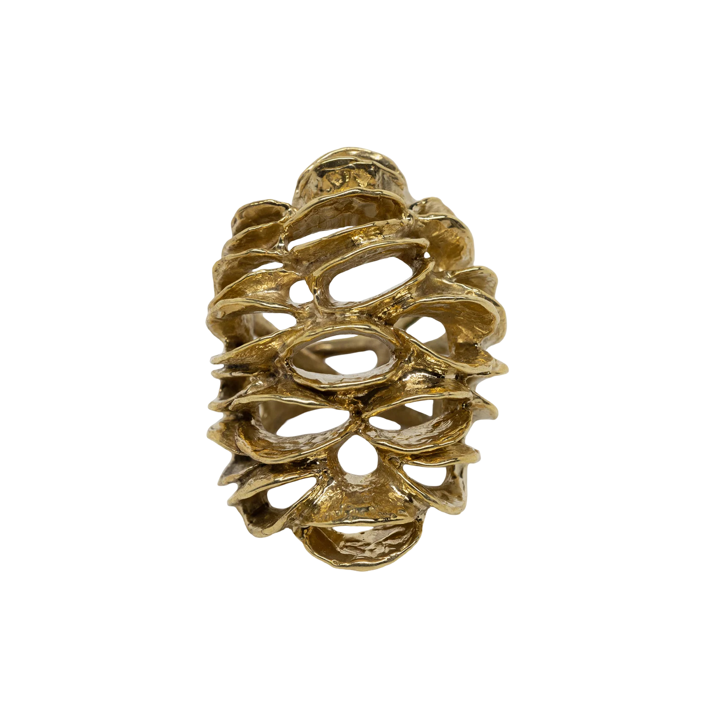 Banksia Root Ring