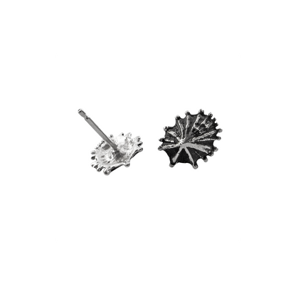 Limpet Stud Earrings
