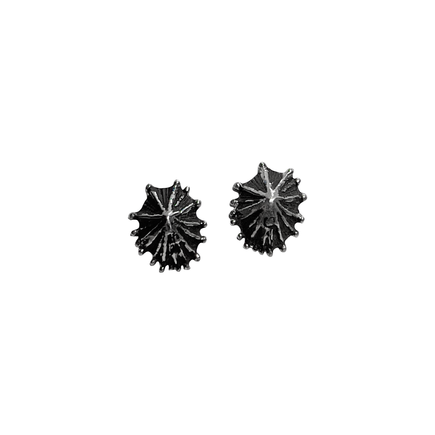 Limpet Stud Earrings