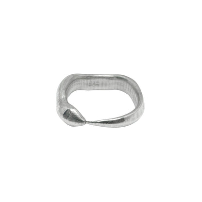 Snake Ouroboros Ring